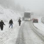 Kastamonu kar çilesi