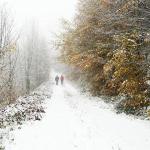 Kastamonu kar çilesi