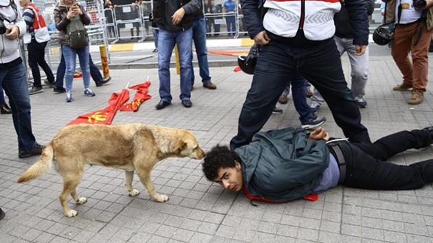 Polis müdahalesi, 5 gözaltı!