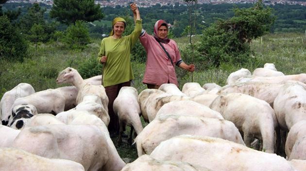 Seher Yıldız-bursa-çoban