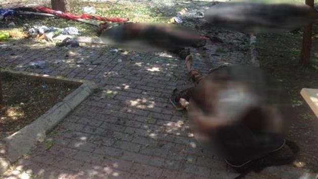 şanlıurfa-suruç-patlama