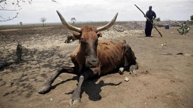 afrika-kuraklık-açlık