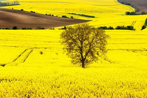 Fotoğrafçıların yeni uğrak noktası